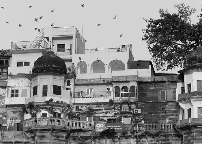 Dwivedi Hotels Hotel Elena
